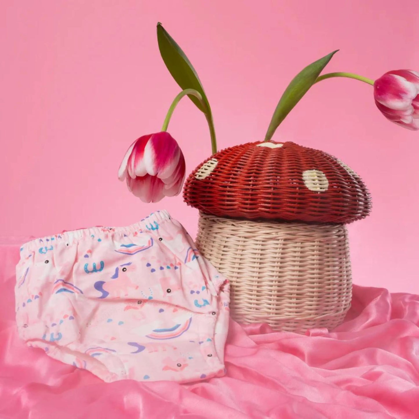 Popoti™ – La culotte d’apprentissage