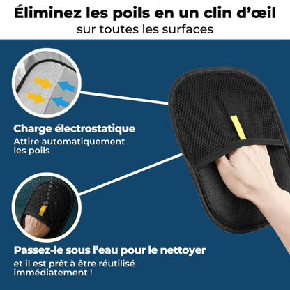 Limpia™ – Éliminateur de poils d'animaux