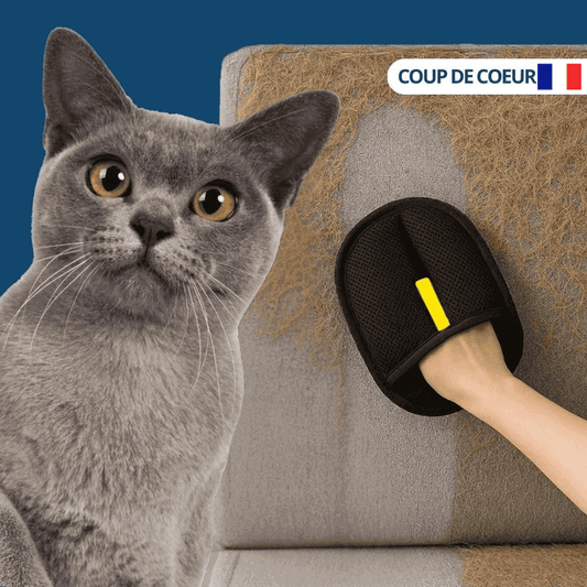 Limpia™ – Éliminateur de poils d'animaux